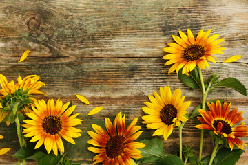 Red and yellow sunflowers on a wooden surface.