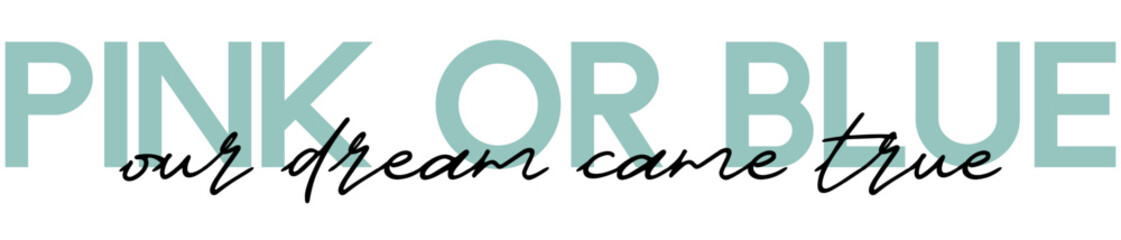 Boy or Girl? Gender reveal party card, banner vector element design. Invitation card template with a multi-colored inscription