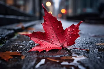 Papier Peint photo Réflexion close-up of a crimson maple leaf delicately resting on a wet, cobblestone pathway in an urban park. Raindrops glisten on the leaf's surface, reflecting the muted city lights and distant skyscrapers