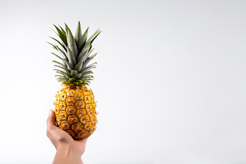 Hand hold fresh pineapple isolated on white background with copy space