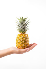 Hand hold fresh pineapple isolated on white background