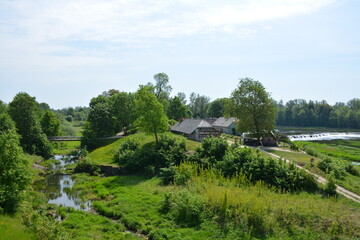landscape with trees