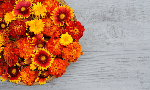 bright flowers in orange-red and yellow colors in plate on wooden table close up. Summer background. floral beautiful image. calendula, marigold (tagetes). template for design. flat lay. copy space