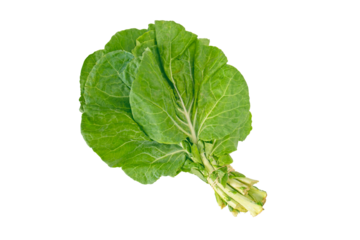 Bundle of collard leaves isolated transparent png. Loose-leafed cultivar of brassica oleracea. Green vegetable. Berza greens.