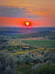 Fototapeta premium Red summer sunset scenic view over the green valley with bushes and trees. Evening natural landscape
