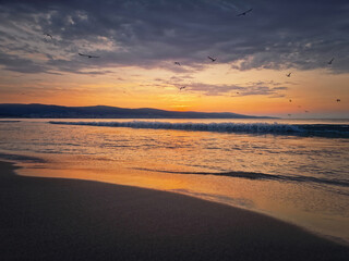 Obraz premium Sea sunrise with seagulls flying above the foamy waves. Peaceful morning seaside