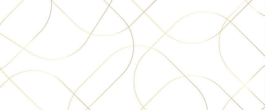 Abstract black circle shape with elegant gold lines on black background, black Business paper with white lines, gold silver polygon poster, royal premium geo name, new year circle Design.