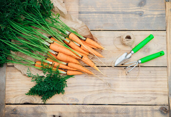 Fresh carrots on a wooden background. Garden tools. Rake and shovel. Vegetables and root vegetables...