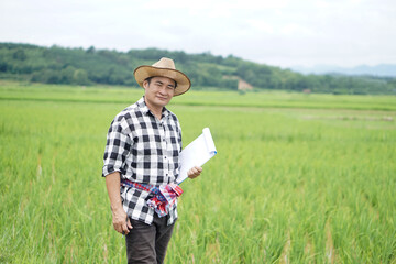 Asian man farmer inspects growth and diseases of plants at paddy field, wears hat, plaid shirt, holds paper clipboard. Concept, agriculture study or research to solve problems or develope crops. 