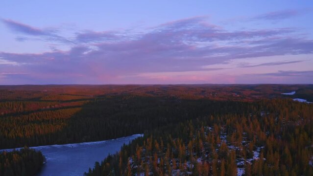 Beautiful purple sunset drone footage horizontal forward pan over the forest in winter (Konnevesi National Park, Finland)