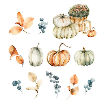 Watercolor cozy autumn composition. Hand painted fall garden with pumpkins, flowers, berries, box for thanksgiving day, harvest. isolated on white background. Rustic illustration for design, decor