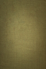 Abstract textured background with fine details