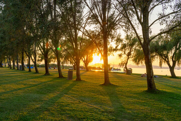 sunset at the beach next to Lake Balaton with trees and people
