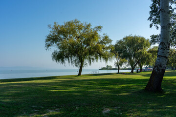 green grass beach next to Lake Balaton with Weeping willow trees