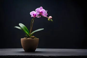 Fotobehang purple orchid in a vase © Aansa