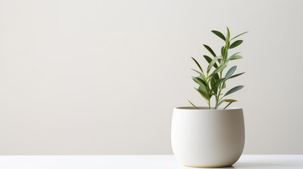 plant in a vase. Generative AI