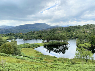 Fototapeta na wymiar A view of Tarn Hows in the Lake District