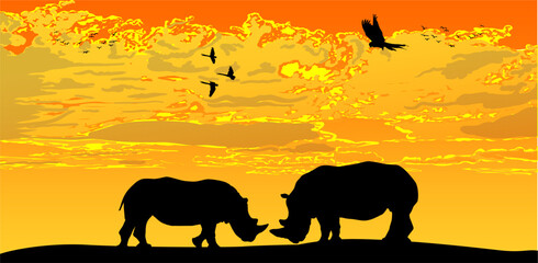 rinocerontes, vector, silueta, animal, atardecer, enamorados, ilustracion © fergomez