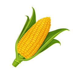 corn isolated on white background. Vector eps 10. perfect for wallpaper or design elements