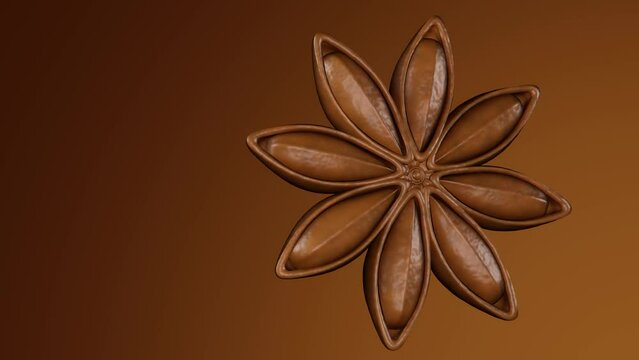 Dried illicium verum commonly called star anise fruit and the seeds spinning around 3d rendering