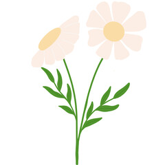 The bouquet has bright colors. Elements used to decorate work pieces and products to be cute and beautiful.