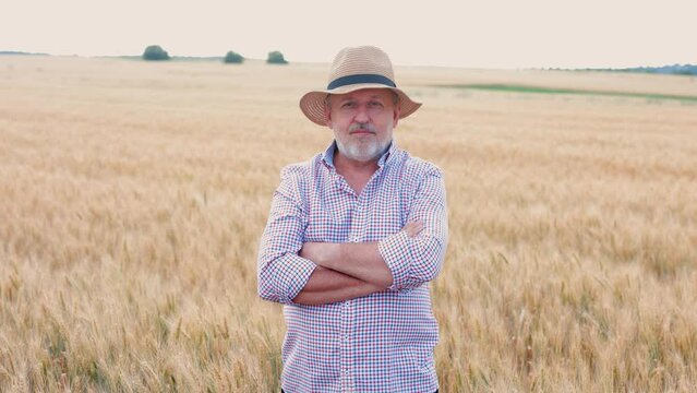 A captivating image of a satisfied businessman in a cowboy hat, standing in a cultivated wheat plantation during a picturesque sunset, symbolizing the successful combination of business acumen and
