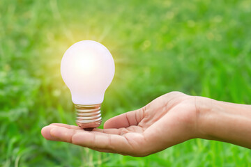 Hand Holding Light Bulb amidst Lush Green Nature - Moment of inspiration as a hand cradles a luminous light bulb against the backdrop of vibrant green nature.
