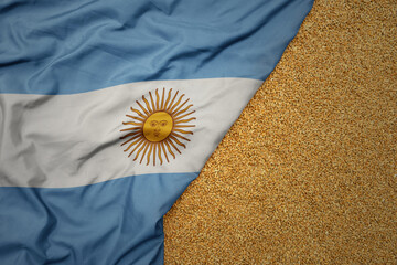 wheat grain on the waving colorful big national flag of argentina .