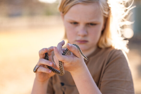 Boy holding pet snake, children's python