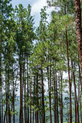 Vistas de montañas y cerros en Panamá 