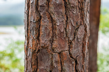 Obraz premium Vistas de montañas y cerros en Panamá 