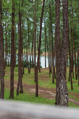 Obraz premium Vistas de montañas y cerros en Panamá 