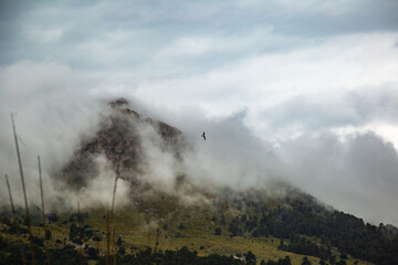 Nebelwolken im Tramuntana-Gebirge, Mallorca,