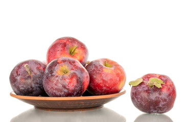 Several ripe juicy red apples on a clay plate, macro, isolated on white background.
