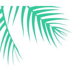 Palm Leaves Corner