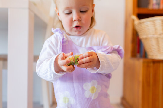Young preschool aged child playing with native australian bird nesting doll toy