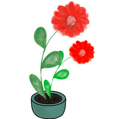 Red Flowers in Green Pot