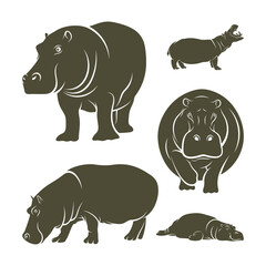 Set of Hippopotamus vector illustration design. Hippopotamus logo design Template.