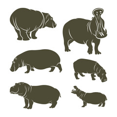 Set of Hippopotamus vector illustration design. Hippopotamus logo design Template.
