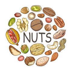 Background with various nuts.