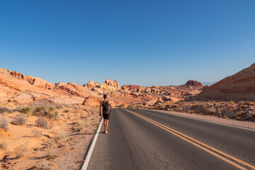 Man standing on endless winding empty road in Valley of Fire State Park leading to red Aztec Sandstone Rock formations and desert vegetation in Mojave desert, Overton, Nevada, USA. Freedom road trip
