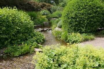 Fototapeta na wymiar Wasserlauf im Japanischen Garten in Planten un Blomen Hamburg