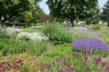 Blumenbeet in Planten un Blomen in Hamburg