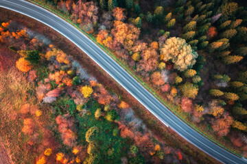 Aerial view of road in colorful autumn forest at sunset. View from above of mountain road in woods. Beautiful landscape with roadway, trees with orange and red leaves in fall in Ukraine. Top view