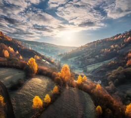 Aerial view of beautiful orange trees on the hill in mountains at sunrise in autumn in Ukraine. Colorful landscape with trees in fog, sun, grass, fields and meadows, blue sky, forest in fall. Nature