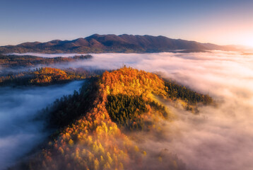 Aerial view of mountains in low clouds at sunrise in autumn. Top drone view of hills with red and orange trees in fog, colorful sky in fall. Slovenia. Nature. Mountain valley. Autumn forest - 639646401