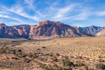 Naklejka premium landscape in the desert