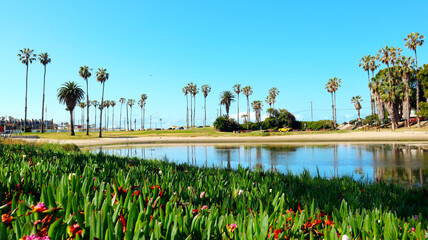 Playa del Rey (Los Angeles), California: Del Rey Lagoon Park in the Playa Del Rey neighborhood of Los Angeles at 6660 Esplande Place - 639654458
