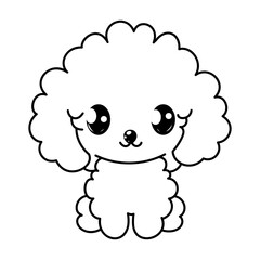dog poodle coloring book outline vector illustration