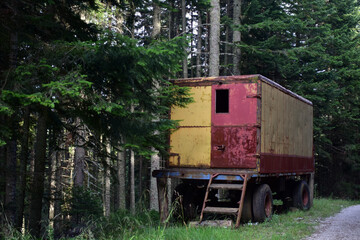 Old truck trailer in the forest. Rusty container in the woods. 